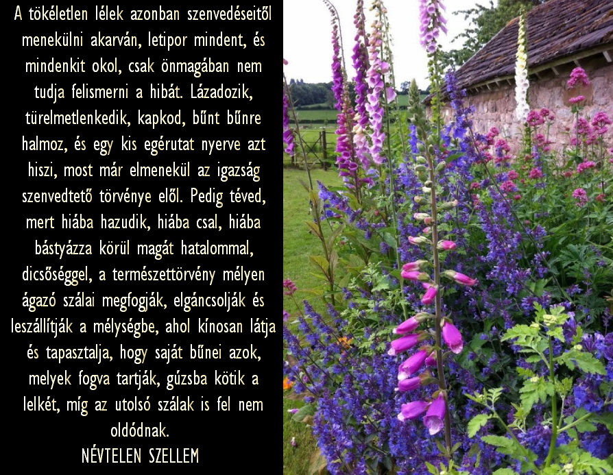 IMA Adelmától, idézet a Névtelen Szellemtől 54.