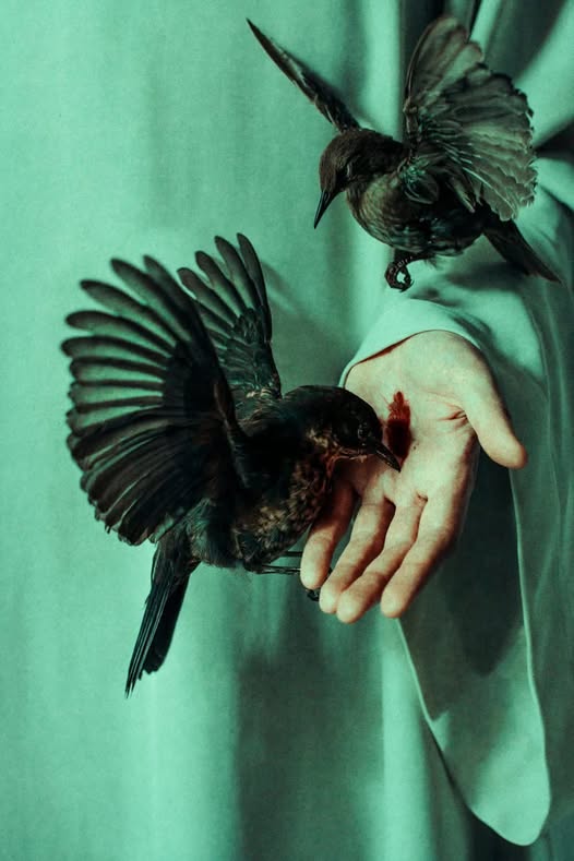 POZITÍV GONDOLATOK 31.