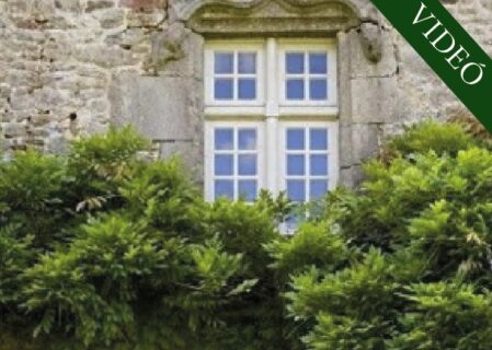 IMA Adelmától, idézet a Névtelen Szellemtől 62.