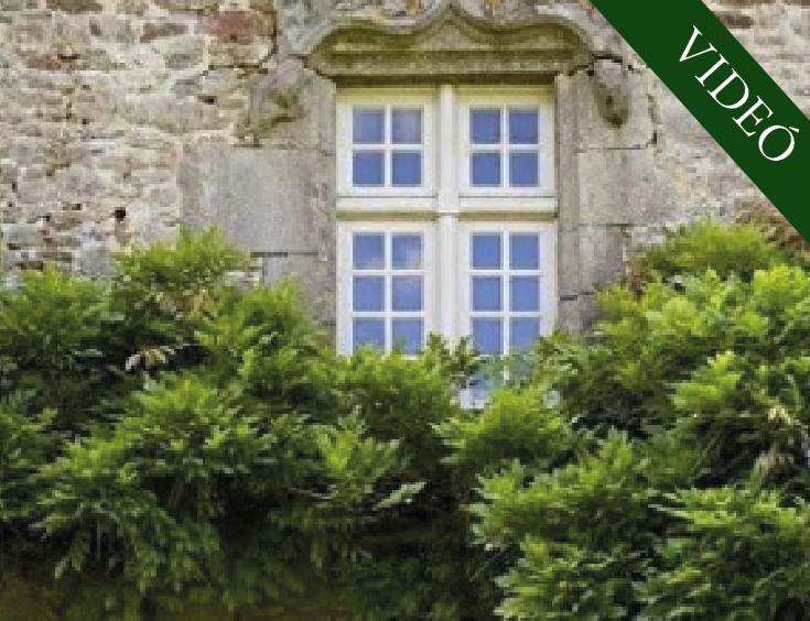 IMA Adelmától, idézet a Névtelen Szellemtől 62.