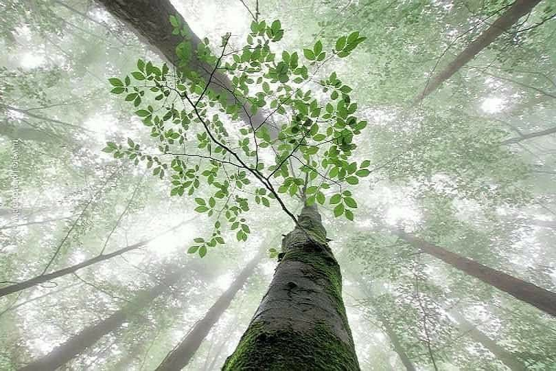 POZITÍV GONDOLATOK 47.