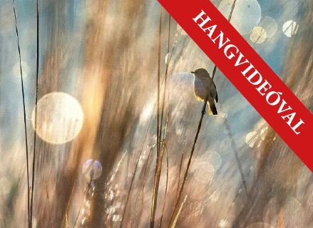 POZITÍV GONDOLATOK 51.