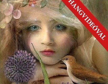 POZITÍV GONDOLATOK 52.