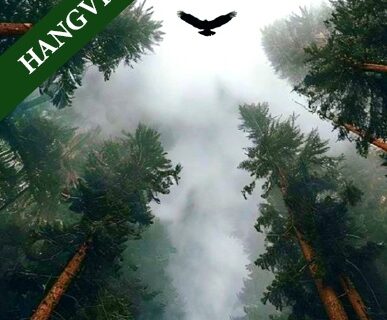 IMA Adelmától, idézet a Névtelen Szellemtől 80.