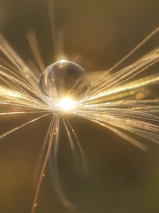 POZITÍV GONDOLATOK  59.