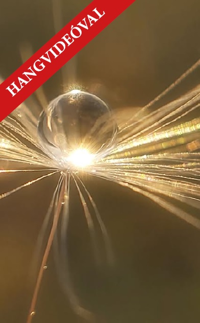 POZITÍV GONDOLATOK 59.