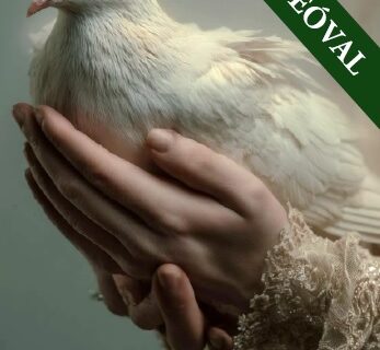 IMA Adelmától, idézet a Névtelen Szellemtől 79.