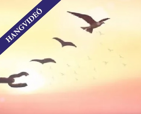 AZ ÚJSZÖVETSÉG SZELLEMI MAGYARÁZATA 20.