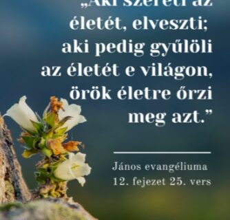 Az ÚJSZÖVETSÉG SZELLEMI MAGYARÁZATA 26.