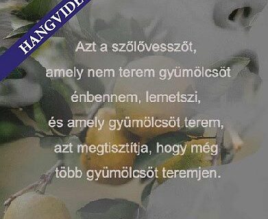 Az ÚJSZÖVETSÉG SZELLEMI MAGYARÁZATA 30.