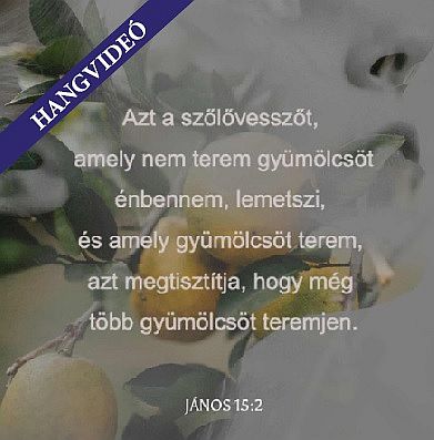 Az ÚJSZÖVETSÉG SZELLEMI MAGYARÁZATA 30.